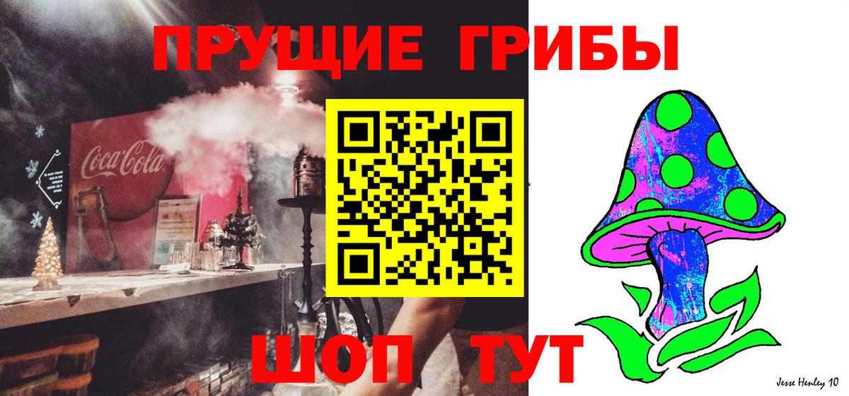 Псилоцибиновые грибы Cubensis Строитель