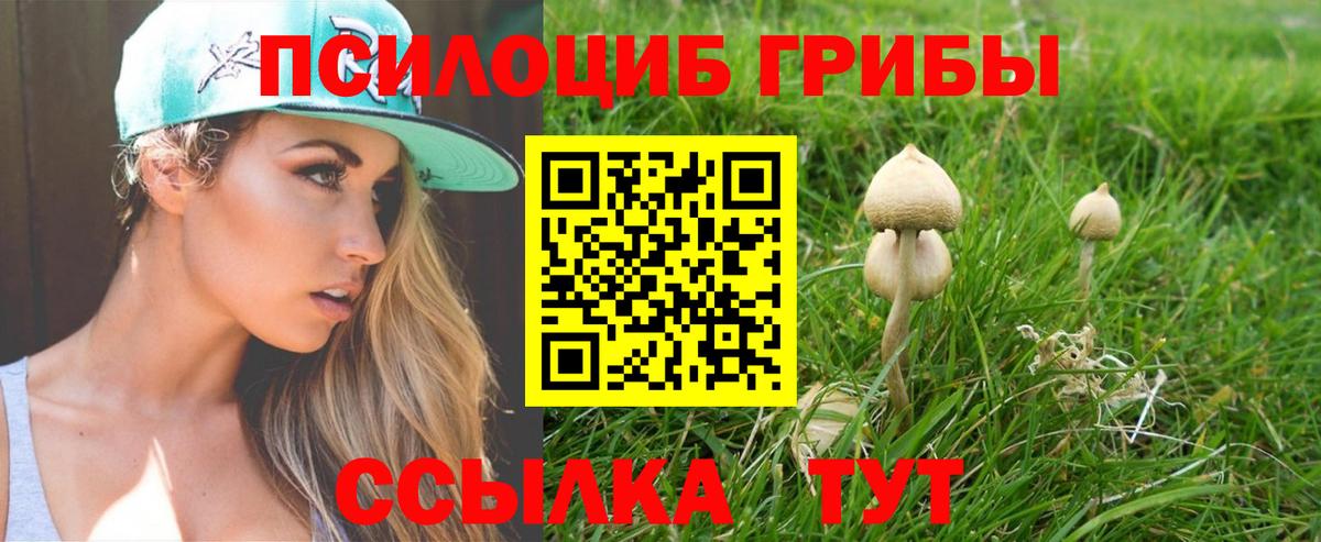 Галлюциногенные грибы мицелий  Вход с VPN  Строитель 